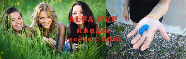 дживик Осташков