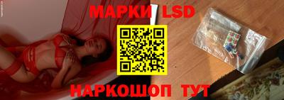 тгк Бийск