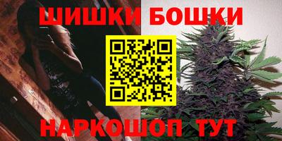 тгк Бийск