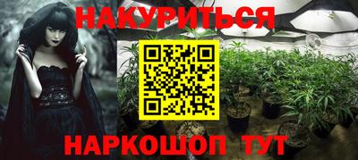 тгк Бийск