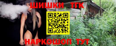 тгк Бийск