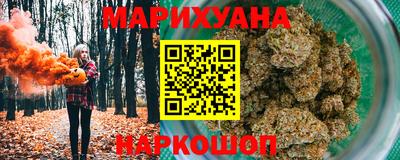 тгк Бийск
