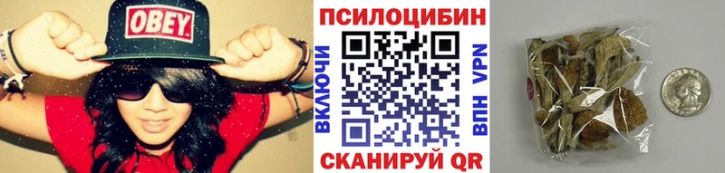 Галлюциногенные грибы Psilocybine cubensis  Кудрово 