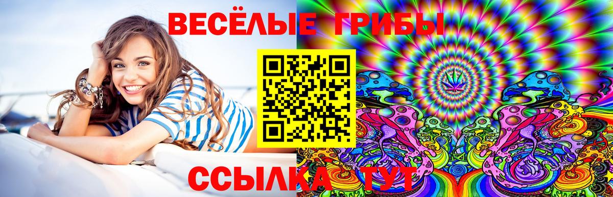Галлюциногенные грибы мухоморы Кудрово