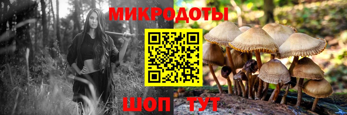 Галлюциногенные грибы мухоморы  Вход с VPN  Псилоцибиновые грибы мухоморы  Кудрово 